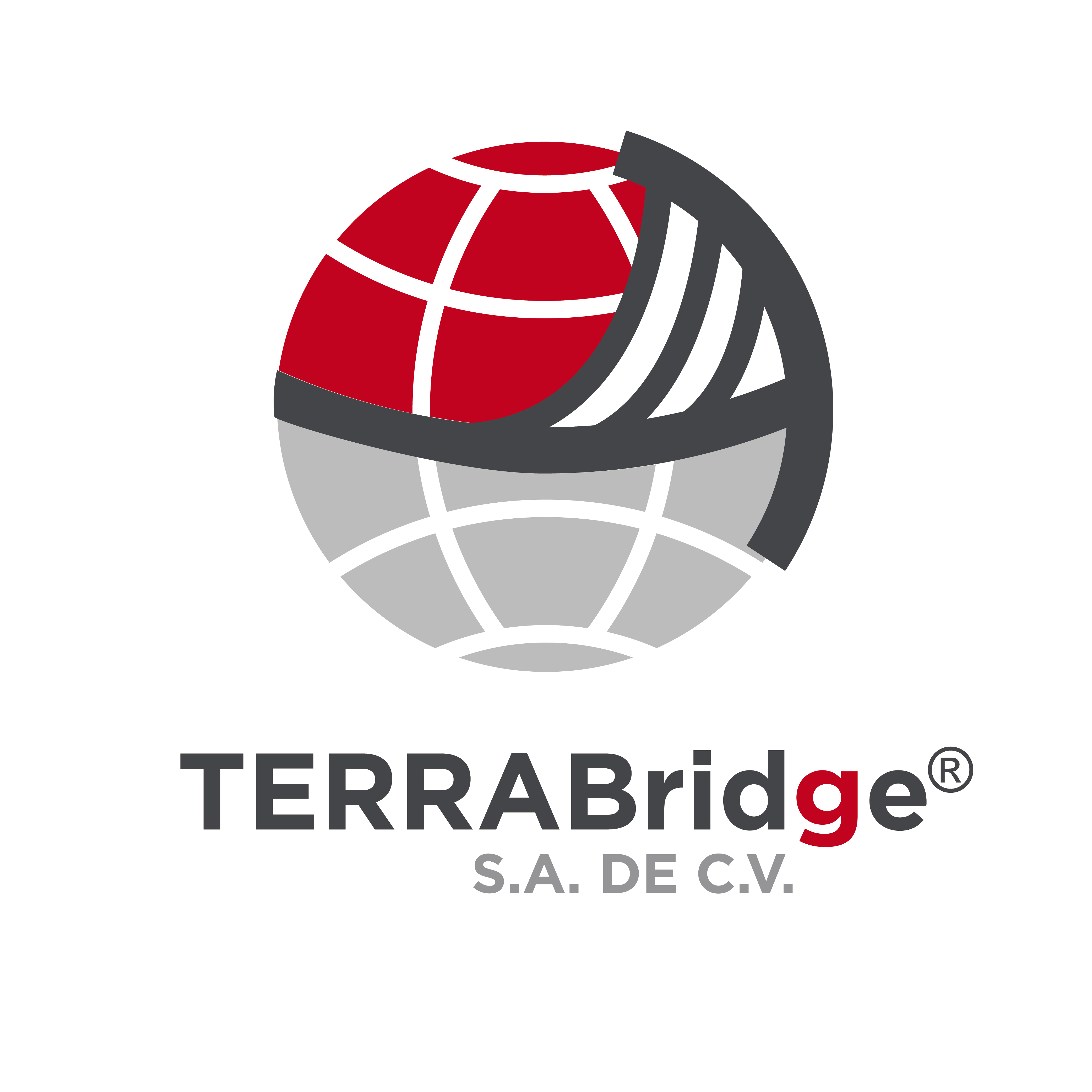 Logo TERRABridge